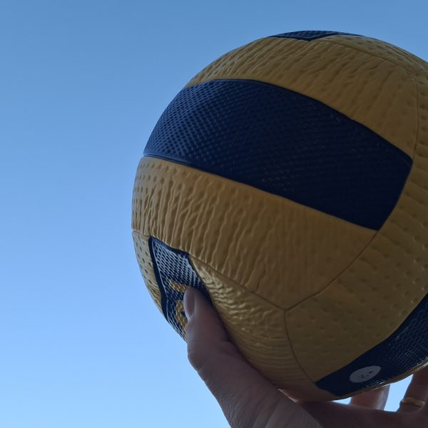 Bola de vôlei